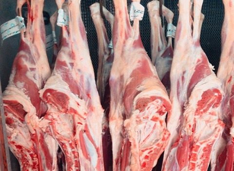 قیمت گوشت آبگوشتی گوساله + خرید باور نکردنی